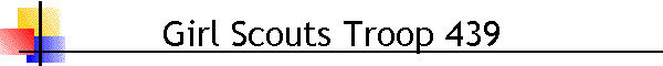 Girl Scouts Troop 439