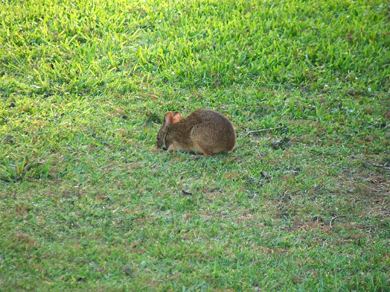 DSCF3082.JPG