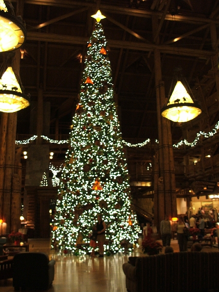 DSCF3093.JPG