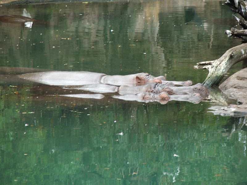 DSCF3101.JPG