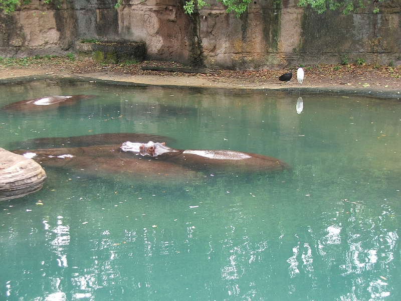 DSCF3103.JPG