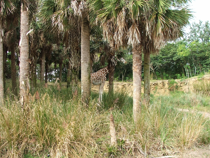 DSCF3122.JPG