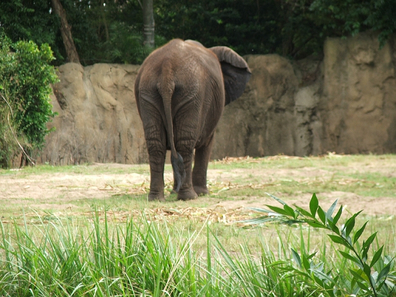 DSCF3127.JPG