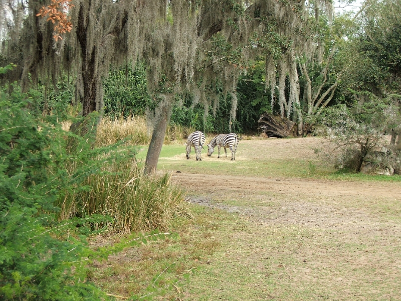 DSCF3145.JPG