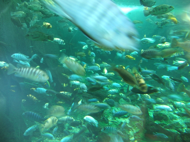 DSCF3149.JPG