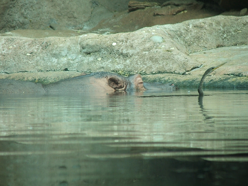 DSCF3152.JPG