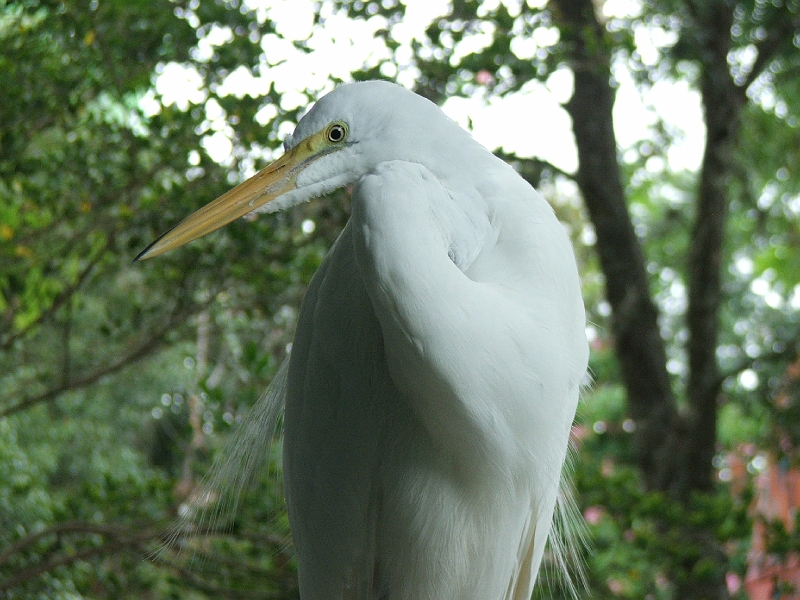 DSCF3163.JPG