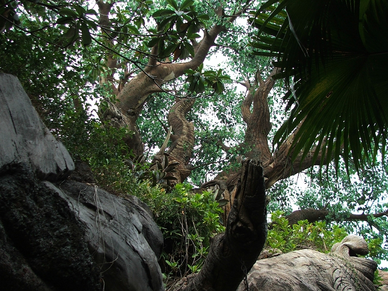DSCF3167.JPG