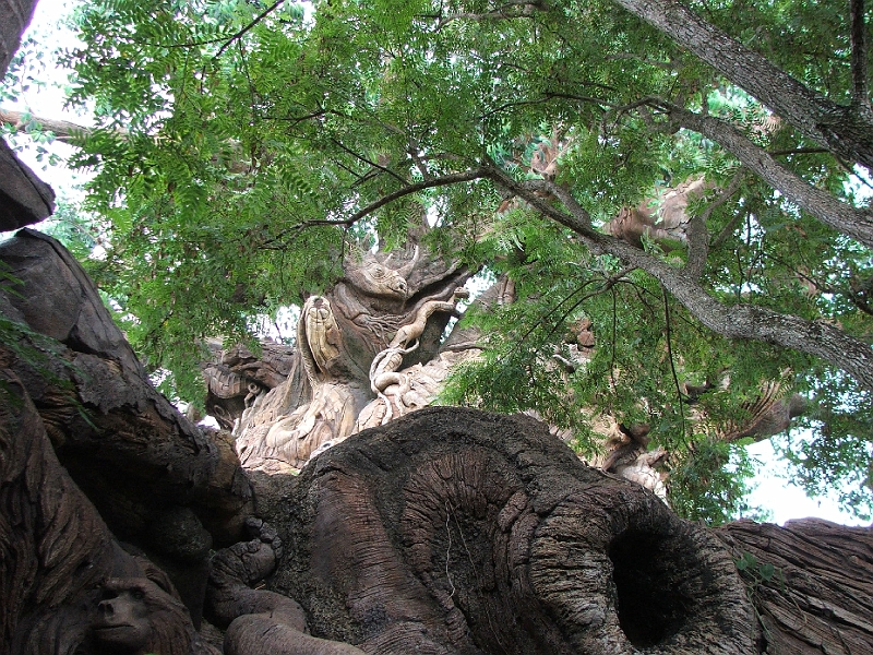 DSCF3168.JPG