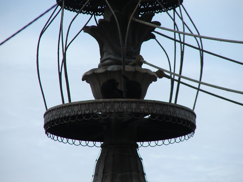 DSCF3191.JPG