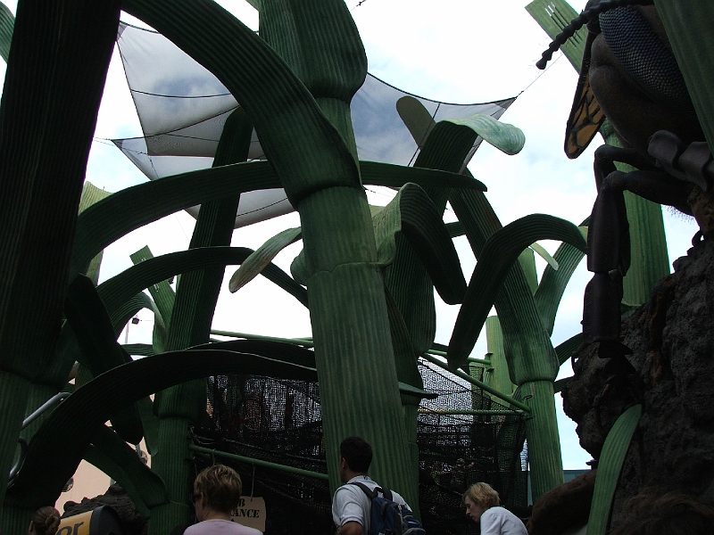 DSCF3358.JPG