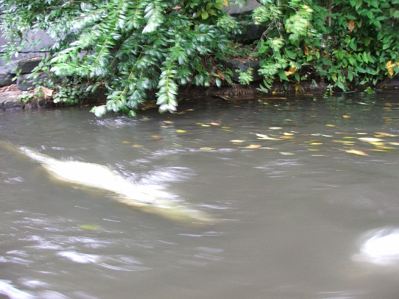 DSCF3470.JPG