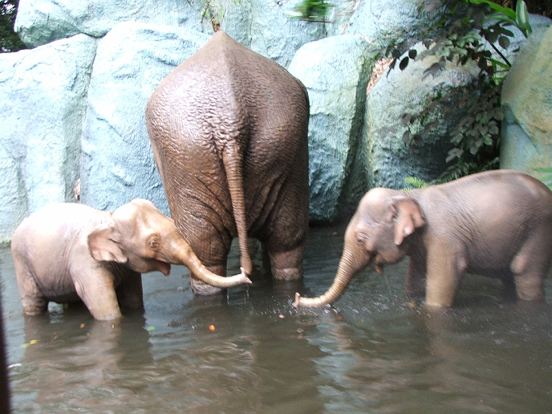 DSCF3473.JPG