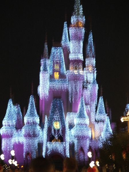 DSCF3495.JPG