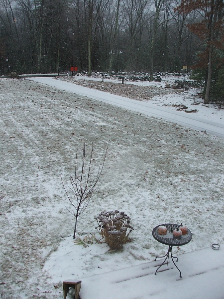 DSCF3655.JPG
