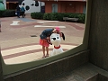 DSCF3011