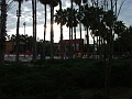 DSCF3012