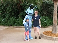 DSCF3097