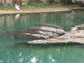 DSCF3102