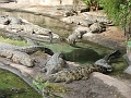 DSCF3108