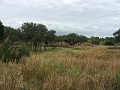 DSCF3113