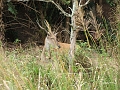 DSCF3114