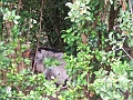 DSCF3115