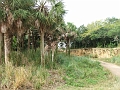 DSCF3123