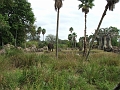 DSCF3128