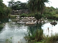 DSCF3132