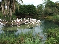 DSCF3133