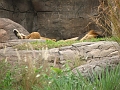 DSCF3138