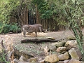DSCF3142