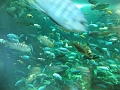 DSCF3149