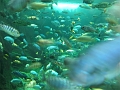 DSCF3150