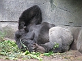 DSCF3158