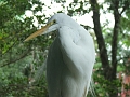 DSCF3163