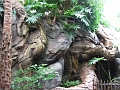 DSCF3165