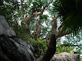 DSCF3167