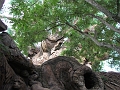 DSCF3168