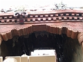 DSCF3178
