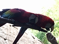 DSCF3209