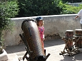DSCF3210
