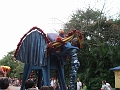 DSCF3238