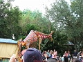 DSCF3239