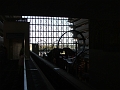 DSCF3385