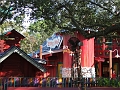 DSCF3394