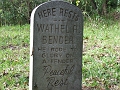 DSCF3415