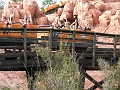 DSCF3433