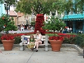 DSCF3442
